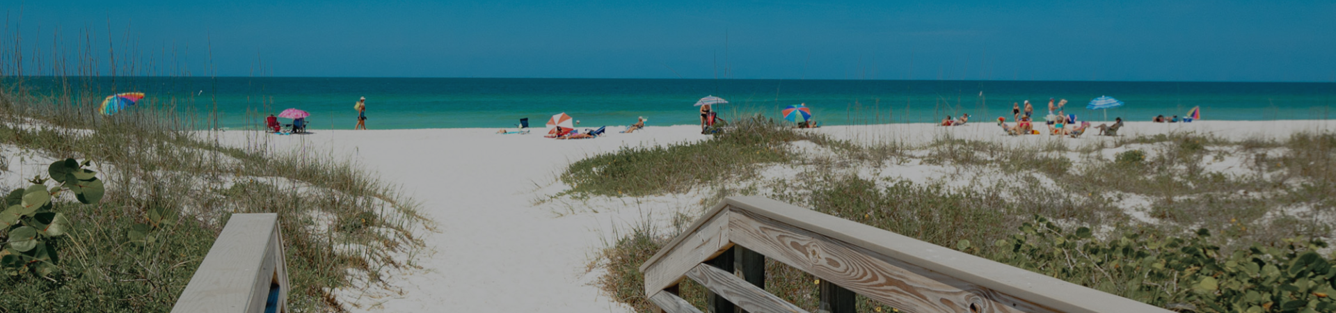 catamaran rental anna maria island